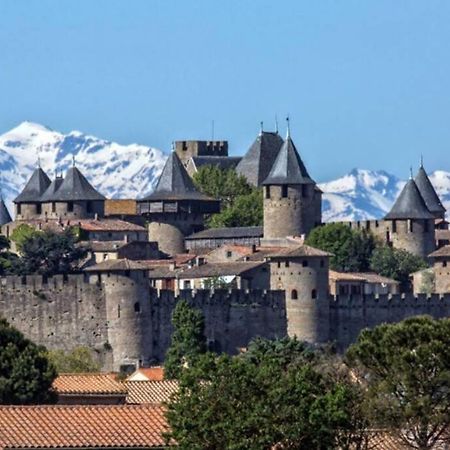 Maison Spacieuse Et Calme Pres De La Cite Villa Alairac ภายนอก รูปภาพ