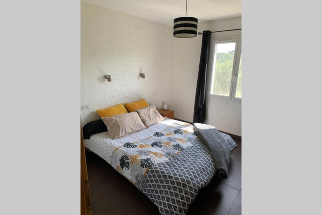 Maison Spacieuse Et Calme Pres De La Cite Villa Alairac ภายนอก รูปภาพ