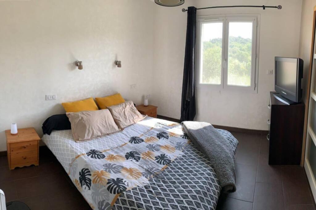 Maison Spacieuse Et Calme Pres De La Cite Villa Alairac ภายนอก รูปภาพ