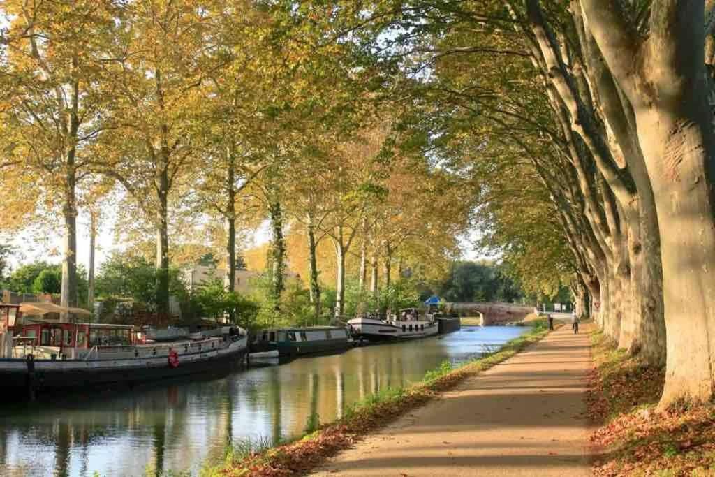 Maison Spacieuse Et Calme Pres De La Cite Villa Alairac ภายนอก รูปภาพ