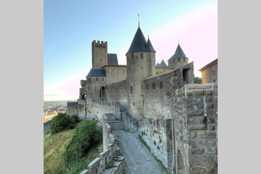 Maison Spacieuse Et Calme Pres De La Cite Villa Alairac ภายนอก รูปภาพ